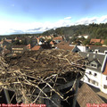 16_35-nest.jpg
