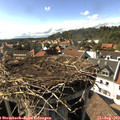 16_40-nest.jpg