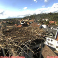 16_45-nest.jpg