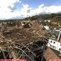 16_55-nest.jpg