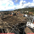 17_00-nest.jpg