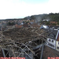 17_05-nest.jpg