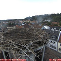 17_10-nest.jpg