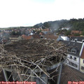 17_15-nest.jpg
