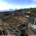 17_20-nest.jpg