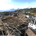 17_25-nest.jpg