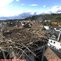 17_30-nest.jpg