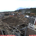 17_40-nest.jpg