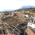 17_45-nest.jpg
