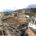 17_50-nest.jpg