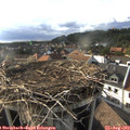 17_55-nest.jpg