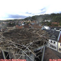 18_00-nest.jpg