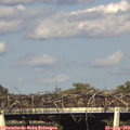18_05-mast.jpg