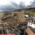 18_05-nest.jpg