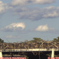 18_10-mast.jpg