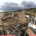 18_10-nest.jpg