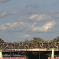 18_15-mast.jpg