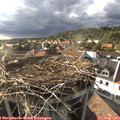 18_15-nest.jpg