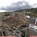 18_20-nest.jpg