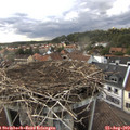 18_25-nest.jpg