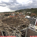 18_30-nest.jpg