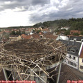 18_35-nest.jpg