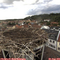 18_40-nest.jpg