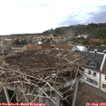 18_45-nest.jpg