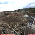 18_50-nest.jpg
