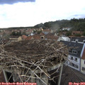 18_55-nest.jpg