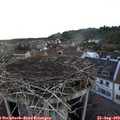 19_00-nest.jpg