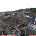 19_05-nest.jpg