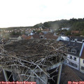 19_20-nest.jpg