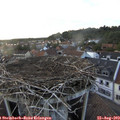 19_25-nest.jpg