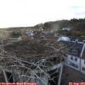 19_35-nest.jpg
