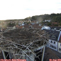 19_40-nest.jpg