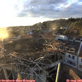 19_45-nest.jpg