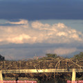 19_50-mast.jpg