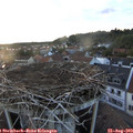 19_55-nest.jpg