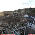 20_00-nest.jpg