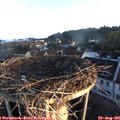 06_45-nest.jpg