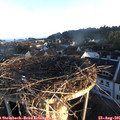 06_50-nest.jpg