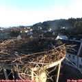 06_55-nest.jpg