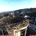 07_10-nest.jpg