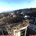 07_20-nest.jpg
