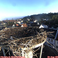 07_25-nest.jpg