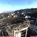 07_40-nest.jpg
