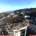 07_50-nest.jpg
