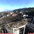 08_00-nest.jpg