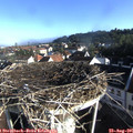 08_10-nest.jpg